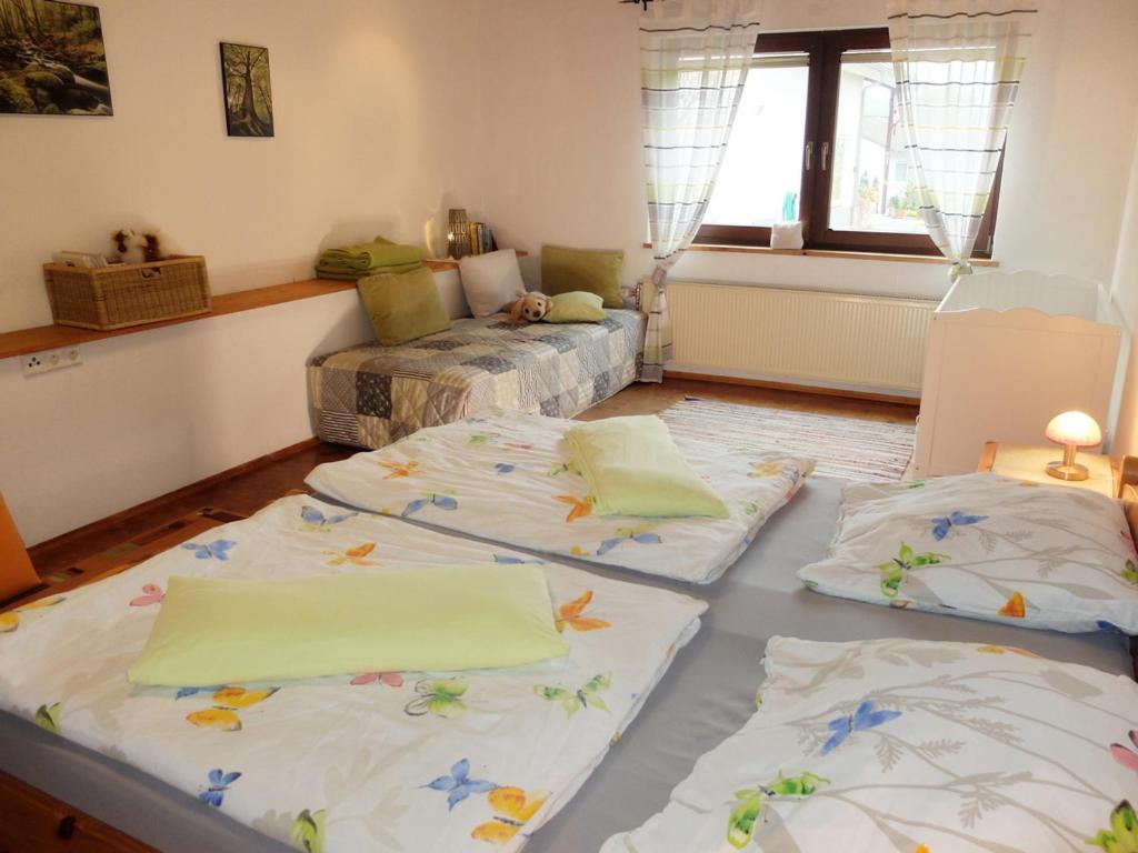 Haus Alpaka Villa Bad König Kültér fotó