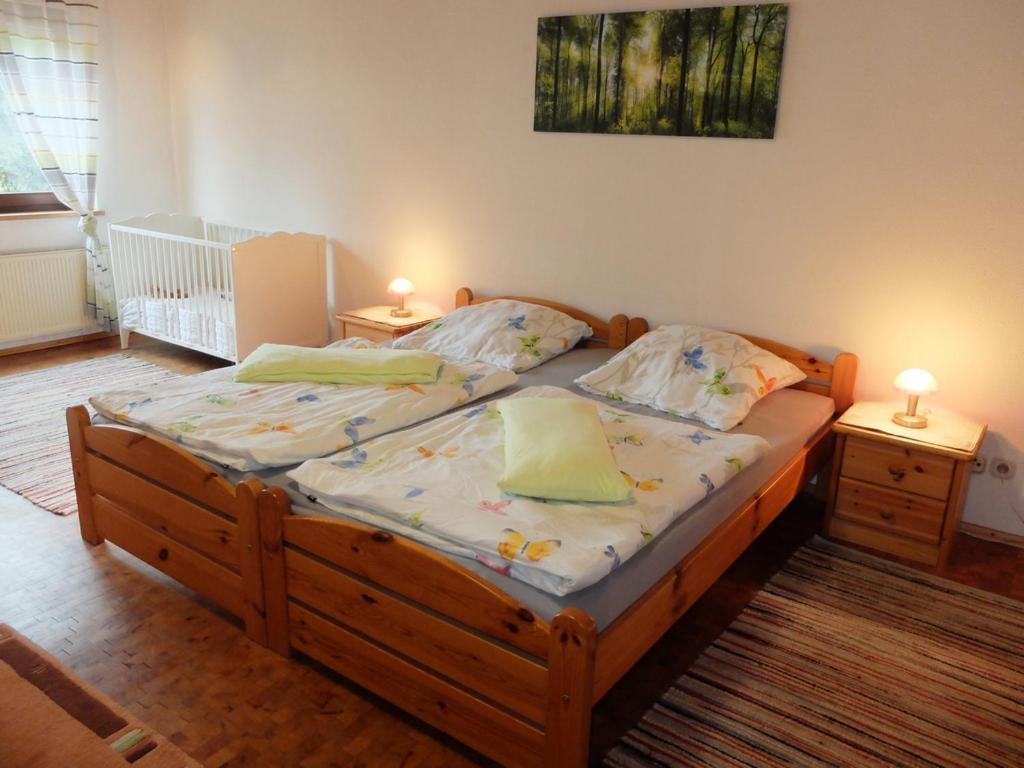 Haus Alpaka Villa Bad König Kültér fotó